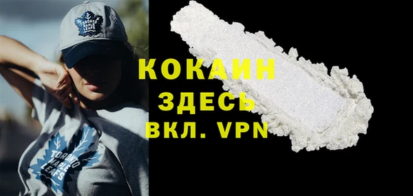 спиды Богданович