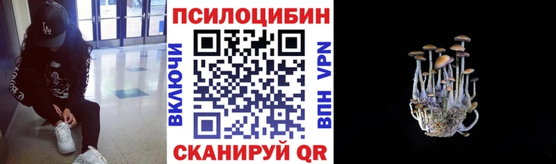 Псилоцибиновые грибы Psilocybine cubensis  Верхняя Салда 